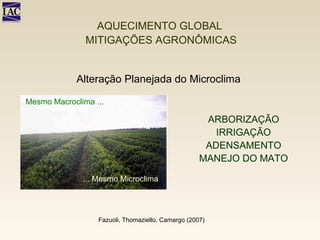 Alteração Planejada do Microclima ARBORIZAÇÃO IRRIGAÇÃO ADENSAMENTO MANEJO DO MATO Fazuoli, Thomaziello, Camargo (2007) AQUECIMENTO GLOBAL  MITIGAÇÕES AGRONÔMICAS Mesmo Macroclima ... ... Mesmo Microclima 