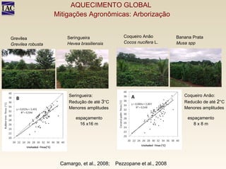 Camargo, et al., 2008;  Pezzopane et al., 2008 Coqueiro Anão: Reducão de até  2 °C Menores amplitudes Seringueira: Redução de até  3 °C Menores amplitudes Coqueiro Anão  Cocos nucifera  L.   Seringueira Hevea brasiliensis   espaçamento  16 x16 m  espaçamento  8 x 8 m  Banana Prata  Musa spp   Grevilea  Grevilea robusta   AQUECIMENTO GLOBAL  Mitigações Agronômicas: Arborização 