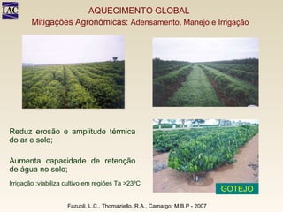 Fazuoli, L.C., Thomaziello, R.A., Camargo, M.B.P - 2007 AQUECIMENTO GLOBAL  Mitigações Agronômicas:  Adensamento, Manejo e Irrigação Reduz erosão e amplitude térmica do ar e solo;  Aumenta capacidade de retenção de água no solo; Irrigação :viabiliza cultivo em regiões Ta >23ºC GOTEJO 
