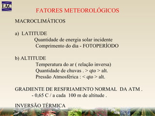 FATORES METEOROLÓGICOS MACROCLIMÁTICOS a)  LATITUDE Quantidade de energia solar incidente Comprimento do dia - FOTOPERÍODO b) ALTITUDE Temperatura do ar ( relação inversa) Quantidade de chuvas . > qto > alt. Pressão Atmosférica : < qto > alt. GRADIENTE DE RESFRIAMENTO NORMAL  DA ATM . - 0,65 C / a cada  100 m de altitude . INVERSÃO TÉRMICA  