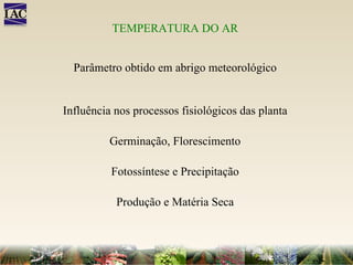 TEMPERATURA DO AR Parâmetro obtido em abrigo meteorológico Influência nos processos fisiológicos das planta Germinação, Florescimento Fotossíntese e Precipitação Produção e Matéria Seca 