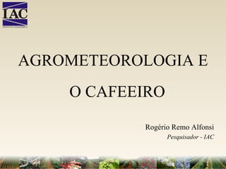 AGROMETEOROLOGIA E O CAFEEIRO Rogério Remo Alfonsi Pesquisador - IAC 