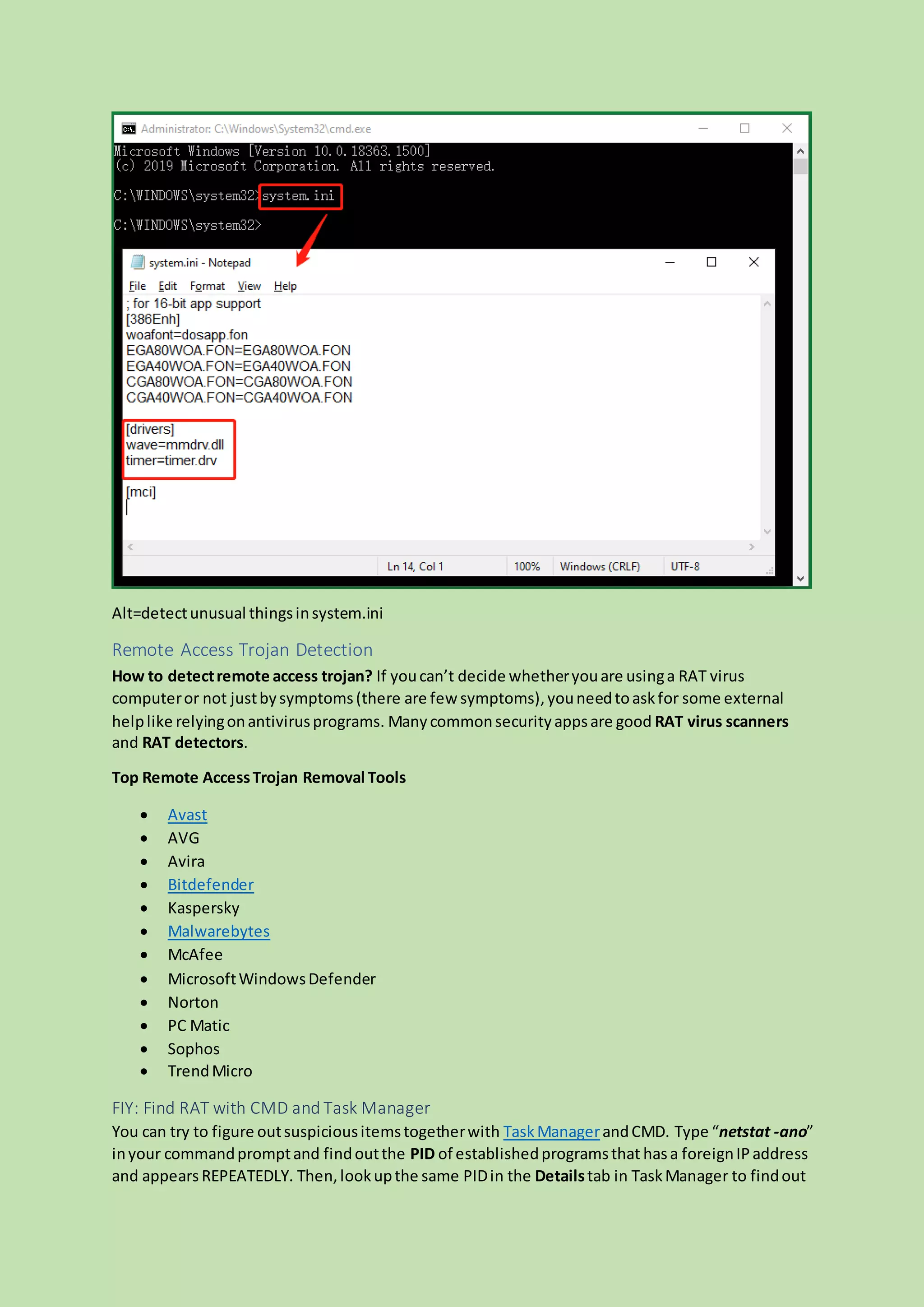 Remote access trojan PDF