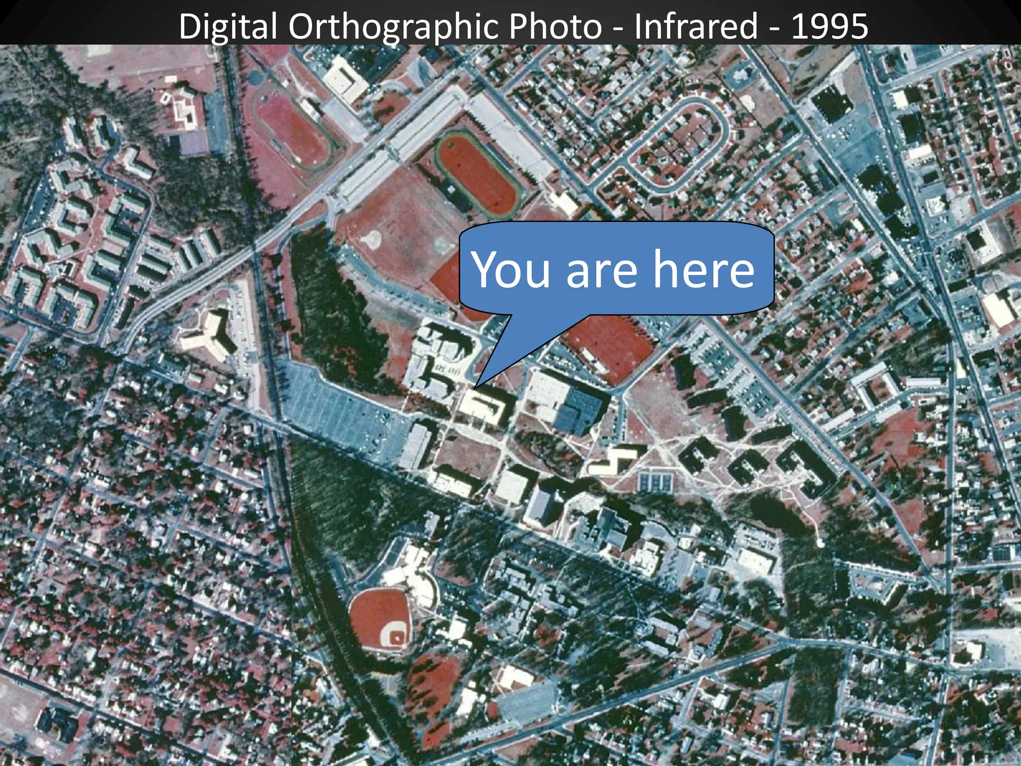You are here
Digital Orthographic Photo - Infrared - 1995
 