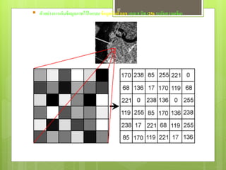 17
 ตัวอย่างการเก็บข้อมูลภาพไว้ในแบบ ข้ อมูลเชิงตัวเลข แบบ 8 บิท (256 ระดับความเข้ม)
 