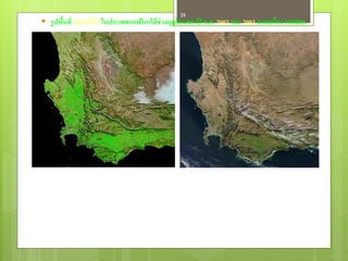 19
 รู ปพืนที่ ปลูกพืชไร่ ในประเทศแอฟริกาใต้ ช่วงฤดูร้อนของปี ค.ศ. 2002 และ 2003 จากเครื่อง MODIS
        ้
 