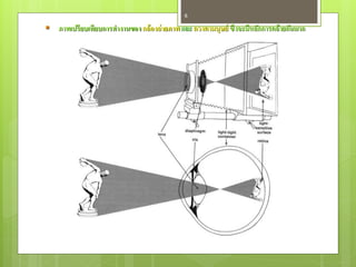 6

 ภาพเปรียบเทียบการทางานของ กล้ องถ่ ายภาพ และ ดวงตามนุษย์ ซึ่งจะมีหลักการคล้ ายกันมาก
 