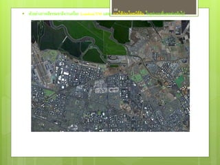 64
   ตัวอย่างภาพสีธรรมชาติจากเครื่อง Landsat/TM แสดง การใช้ประโยชน์ท่ดิน ในรูปแบบที่แตกต่างกันไป
                                                                    ี
 