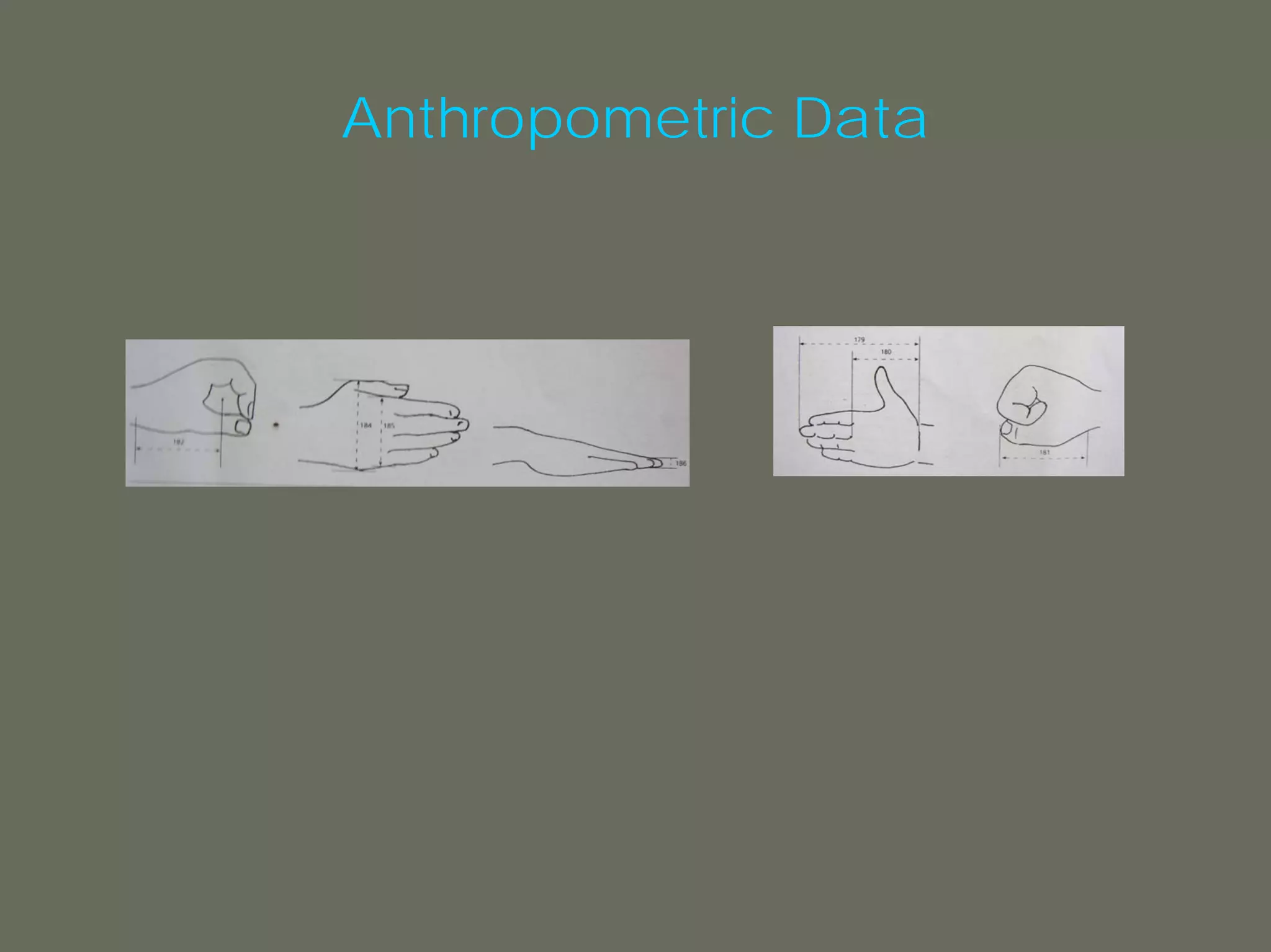 Anthropometric Data
 