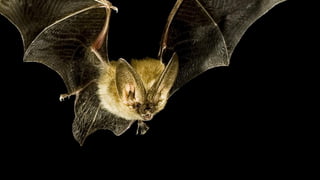 Best Practices: Antenna Position / Mounting
 