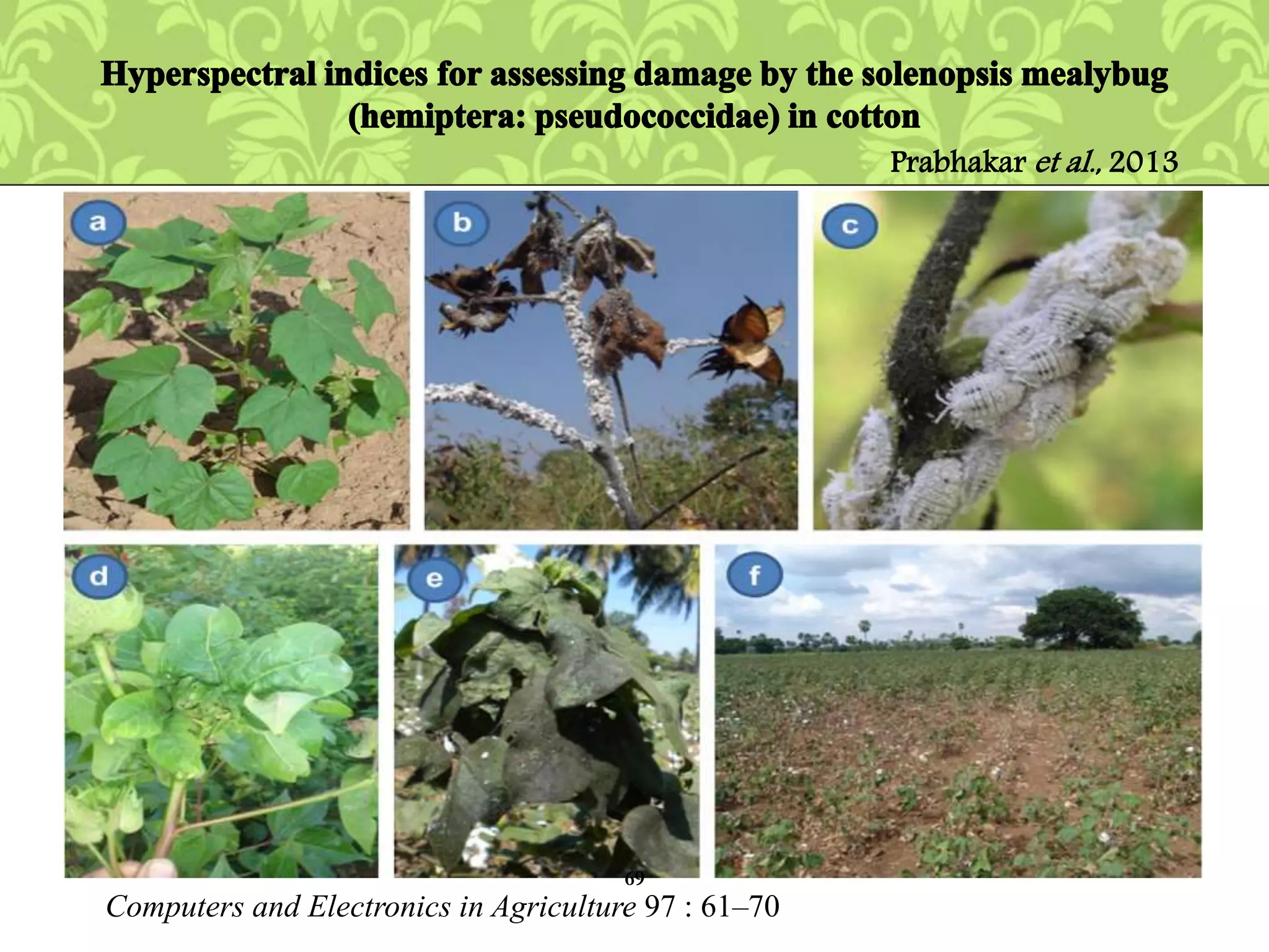 Computers and Electronics in Agriculture 97 : 61–70
69
Prabhakar et al., 2013
 