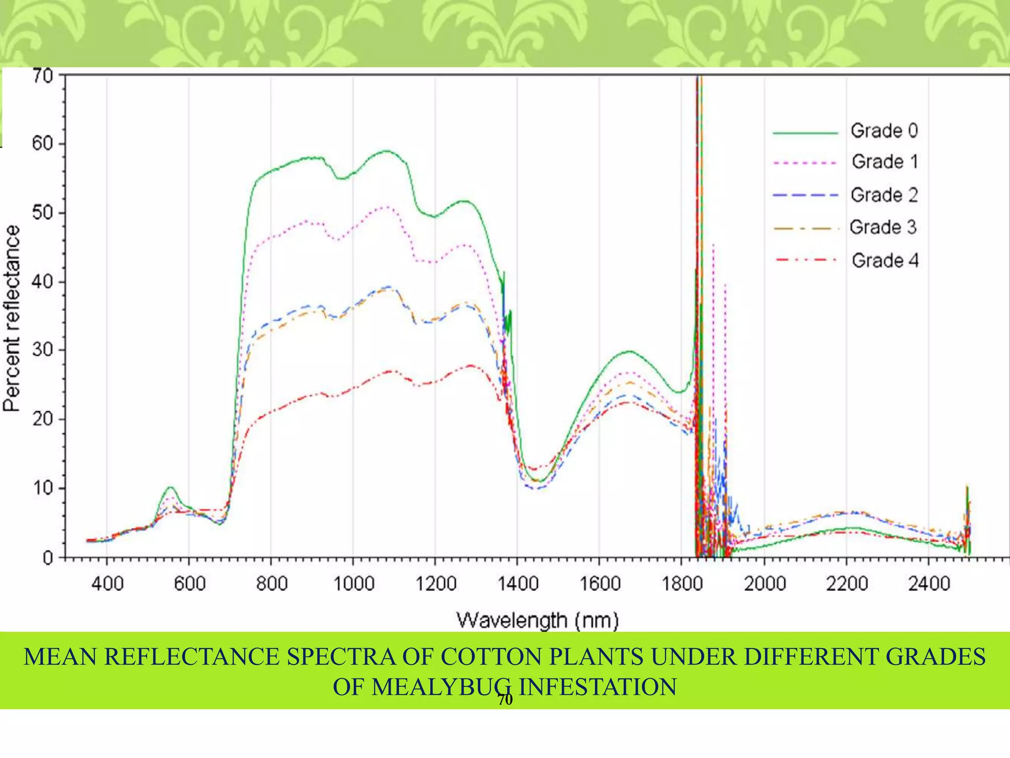 MEAN REFLECTANCE SPECTRA OF COTTON PLANTS UNDER DIFFERENT GRADES
OF MEALYBUG INFESTATION70
 