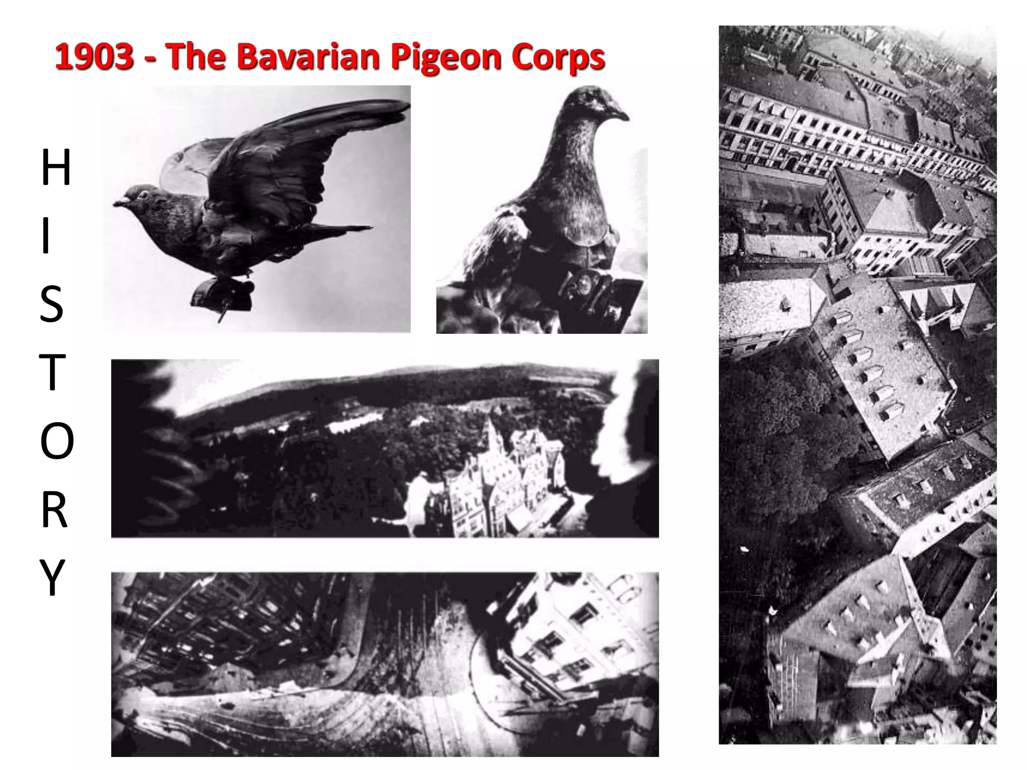 1903 - The Bavarian Pigeon Corps
H
I
S
T
O
R
Y
 