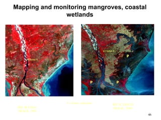 46
Mapping and monitoring mangroves, coastal
wetlands
PP
P
KRISHNA R.
IRS-1B LISS-I
IMAGE, 1992
KRISHNA R.
P = Prawn cultivation
IRS-1C LISS-III
IMAGE, 2000
 