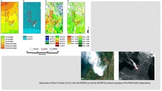 Observation of fires in Florida (U.S.A.) from the MODIS (a) and the AVHRR (b) sensors (courtesy of the NASA Earth Observatory).
 