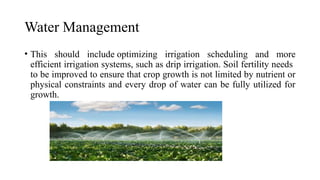 Water Management
• This should include optimizing irrigation scheduling and more
efficient irrigation systems, such as drip irrigation. Soil fertility needs
to be improved to ensure that crop growth is not limited by nutrient or
physical constraints and every drop of water can be fully utilized for
growth.
 
