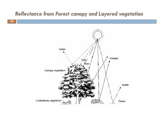 Reflectance from Forest canopy and Layered vegetation
58
 