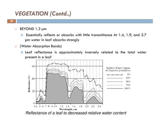 BEYOND 1.3 μm
Essentially reflects or absorbs with little transmittance At 1.4, 1.9, and 2.7
µm water in leaf absorbs strongly
(Water Absorption Bands)
Leaf reflectance is approximately inversely related to the total water
present in a leaf
VEGETATION (Contd..)
Reflectance of a leaf to decreased relative water content
60
 