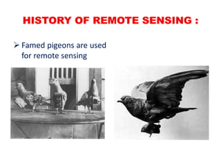 HISTORY OF REMOTE SENSING :
 Famed pigeons are used
for remote sensing
 