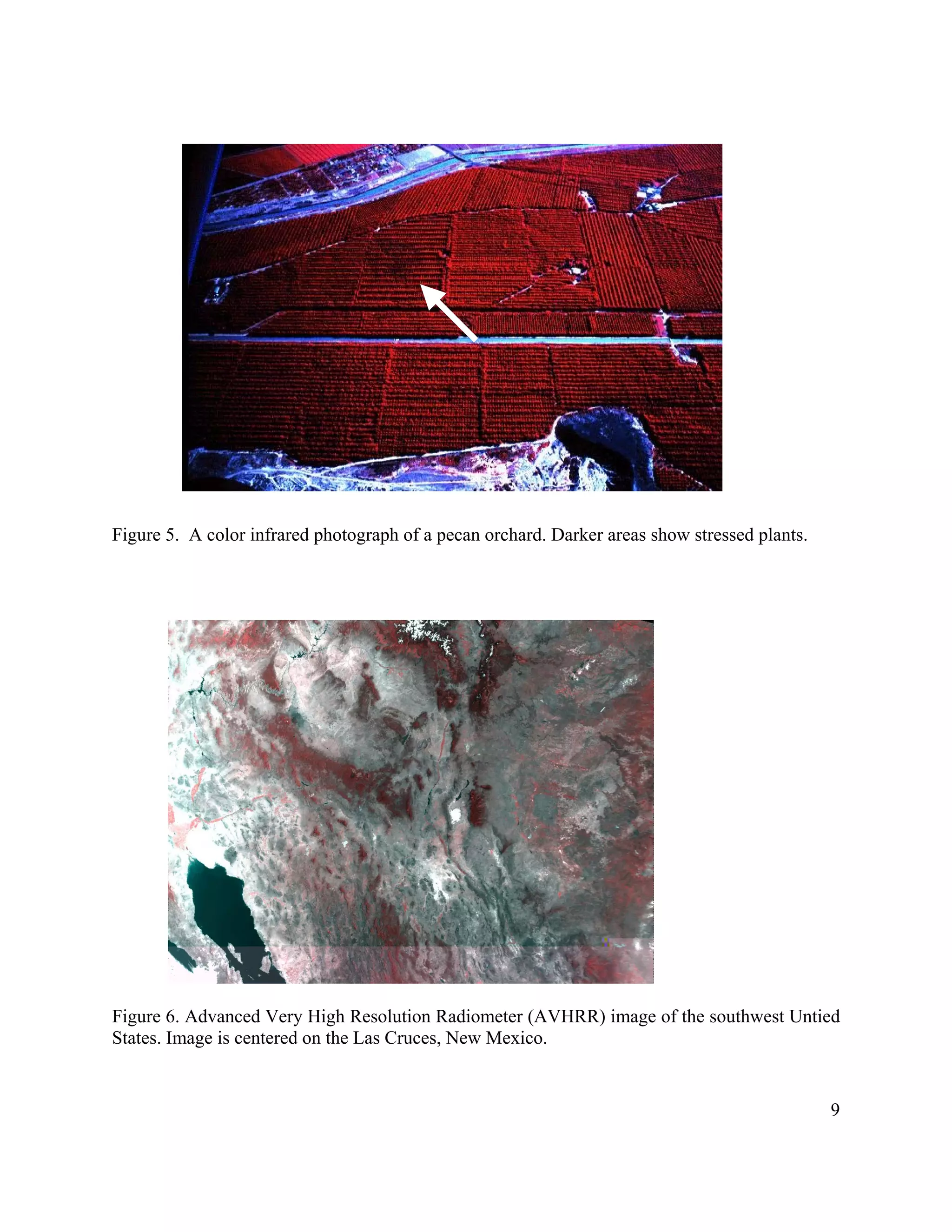 9
Figure 5. A color infrared photograph of a pecan orchard. Darker areas show stressed plants.
Figure 6. Advanced Very High Resolution Radiometer (AVHRR) image of the southwest Untied
States. Image is centered on the Las Cruces, New Mexico.
 