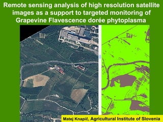 Remote sensing analysis of high resolution satellite
  images as a support to targeted monitoring of
   Grapevine Flavescence dorée phytoplasma




                   Matej Knapič, Agricultural Institute of Slovenia
 