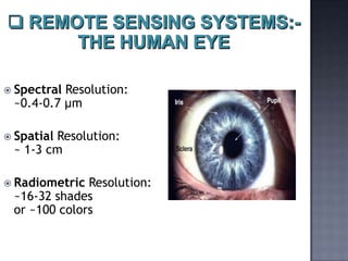  SpectralResolution:
 ~0.4-0.7 µm

 Spatial
        Resolution:
 ~ 1-3 cm

 Radiometric Resolution:
 ~16-32 shades
 or ~100 colors
 