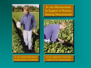 In situ spectroradiometer 
measurement of soybeans 
In situ spectroradiometer 
measurement of soybeans 
In situ Measurement 
In Support of Remote 
Sensing Measurement 
In situ Measurement 
In Support of Remote 
Sensing Measurement 
In situ ceptometer leaf-area-index 
In situ ceptometer leaf-area-index 
(LAI) measurement 
(LAI) measurement 
 