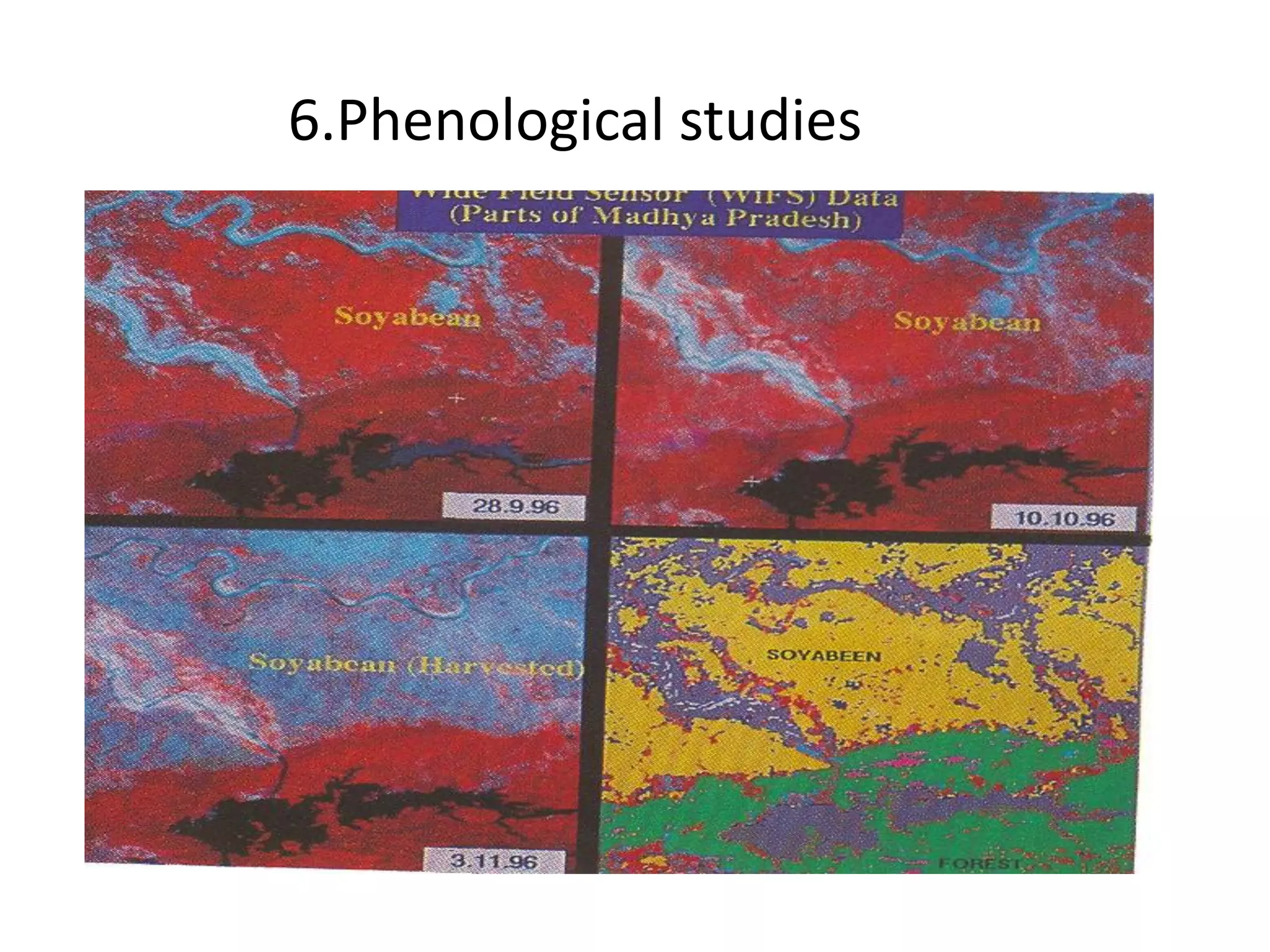 6.Phenological studies
 