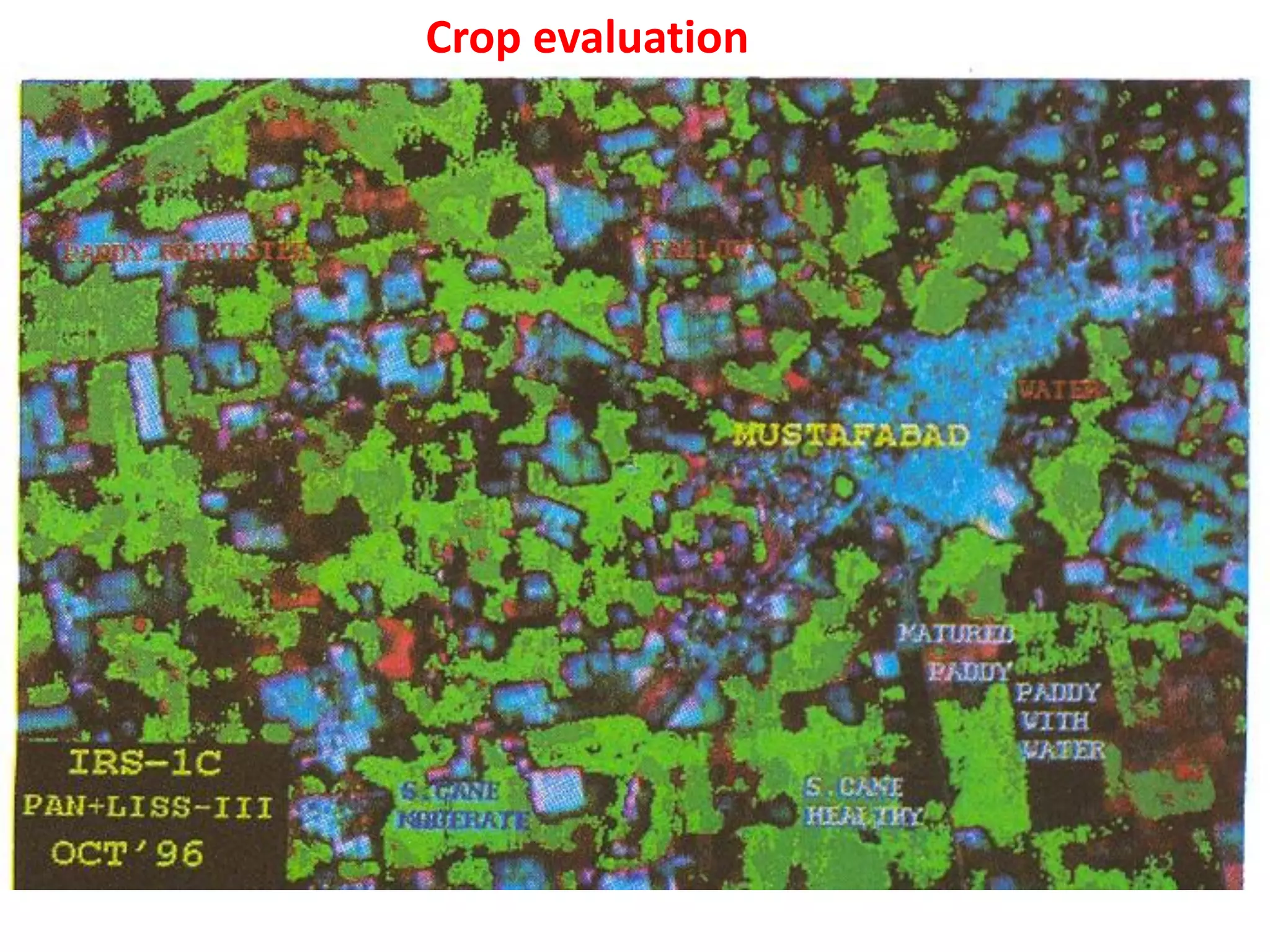 Crop evaluation
 