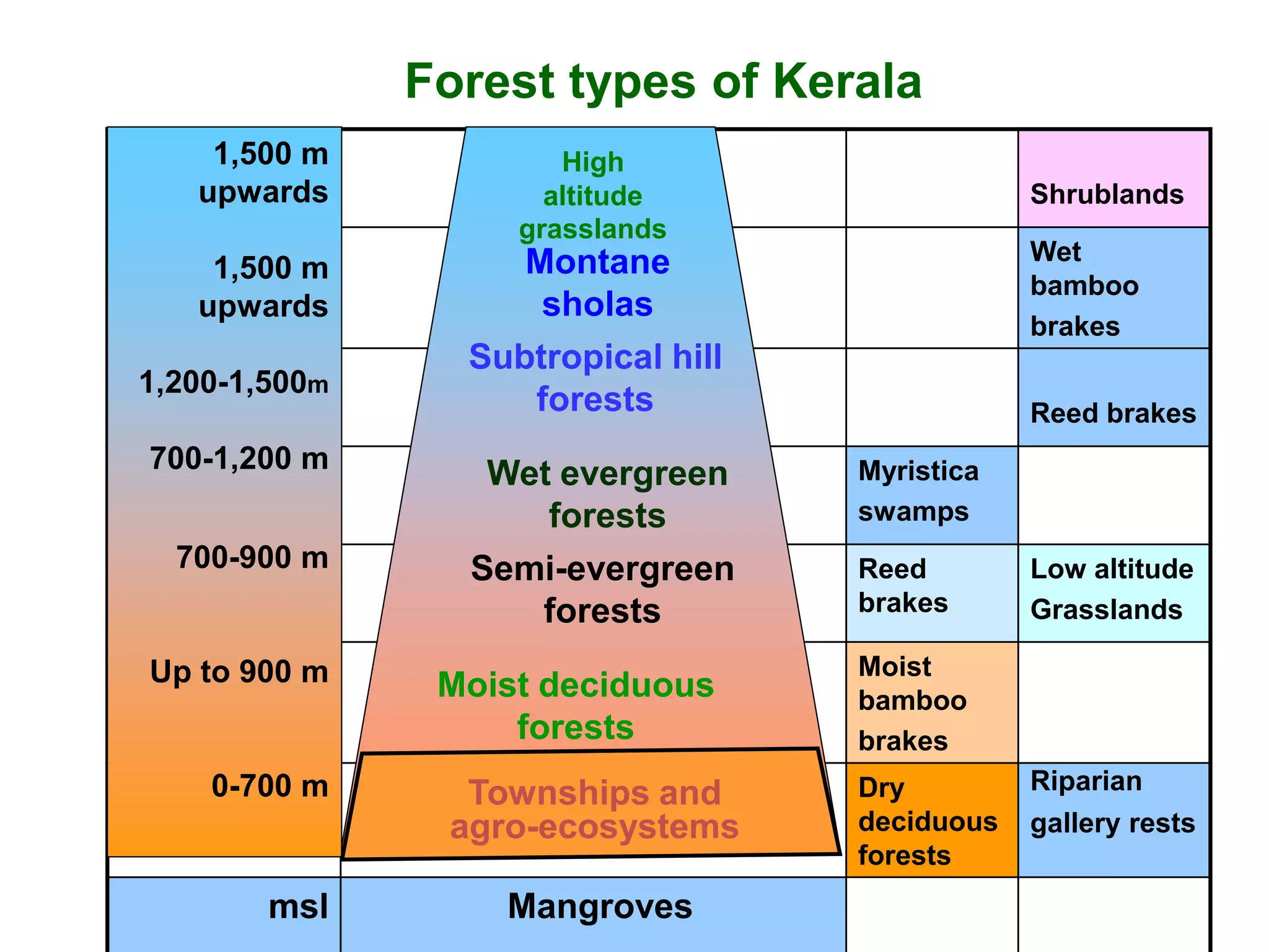 Forest types of Kerala
    1,500 m            High
   upwards            altitude                  Shrublands
                    grasslands
                    Montane                     Wet
    1,500 m
                                                bamboo
   upwards           sholas
                                                brakes
                 Subtropical hill
1,200-1,500m
                    forests                     Reed brakes
700-1,200 m
                  Wet evergreen     Myristica
                     forests        swamps
  700-900 m      Semi-evergreen     Reed        Low altitude
                    forests         brakes      Grasslands

Up to 900 m                         Moist
                Moist deciduous     bamboo
                    forests         brakes
    0-700 m                         Dry         Riparian
                 Townships and
                agro-ecosystems     deciduous   gallery rests
                                    forests
        msl        Mangroves
 
