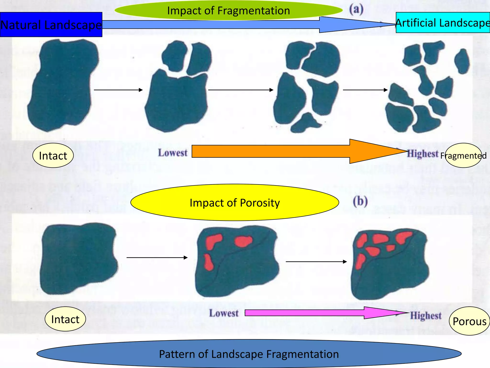 Impact of Fragmentation
Natural Landscape                                        Artificial Landscape




      Intact                                                      Fragmented




                         Impact of Porosity




        Intact                                                      Porous

                    Pattern of Landscape Fragmentation
 