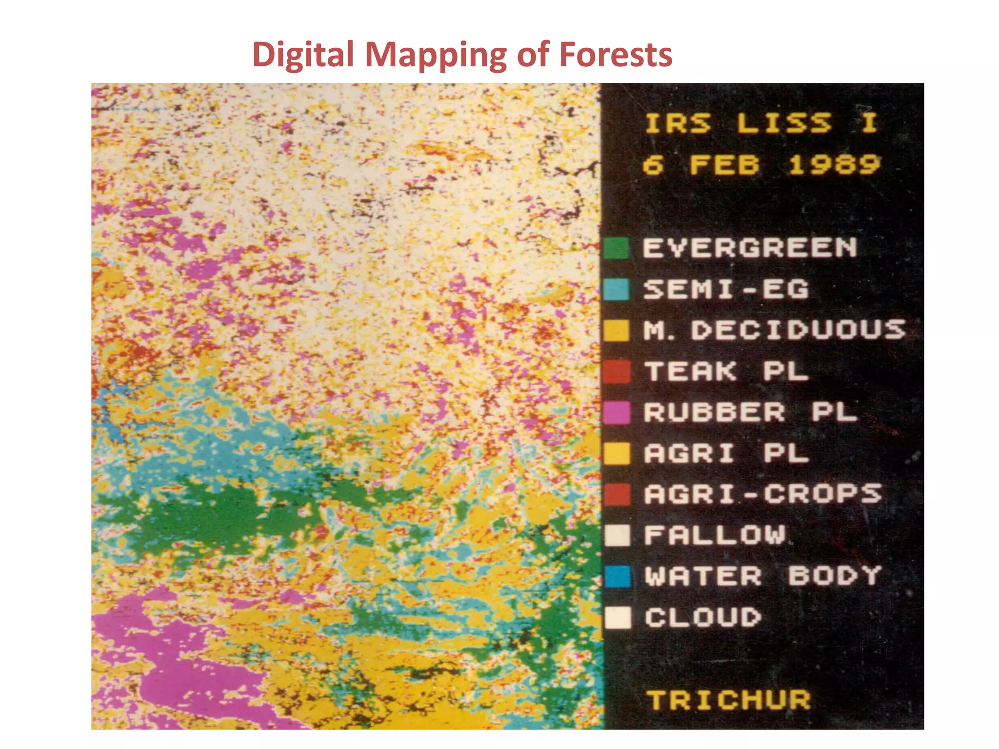 Digital Mapping of Forests
 