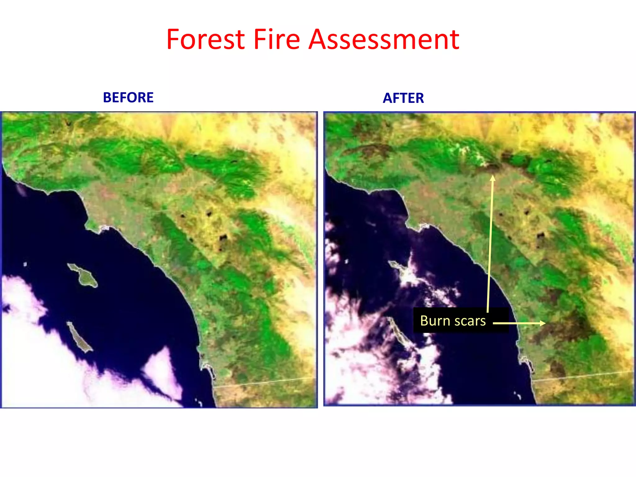 Forest Fire Assessment
BEFORE                   AFTER




                             Burn scars
 