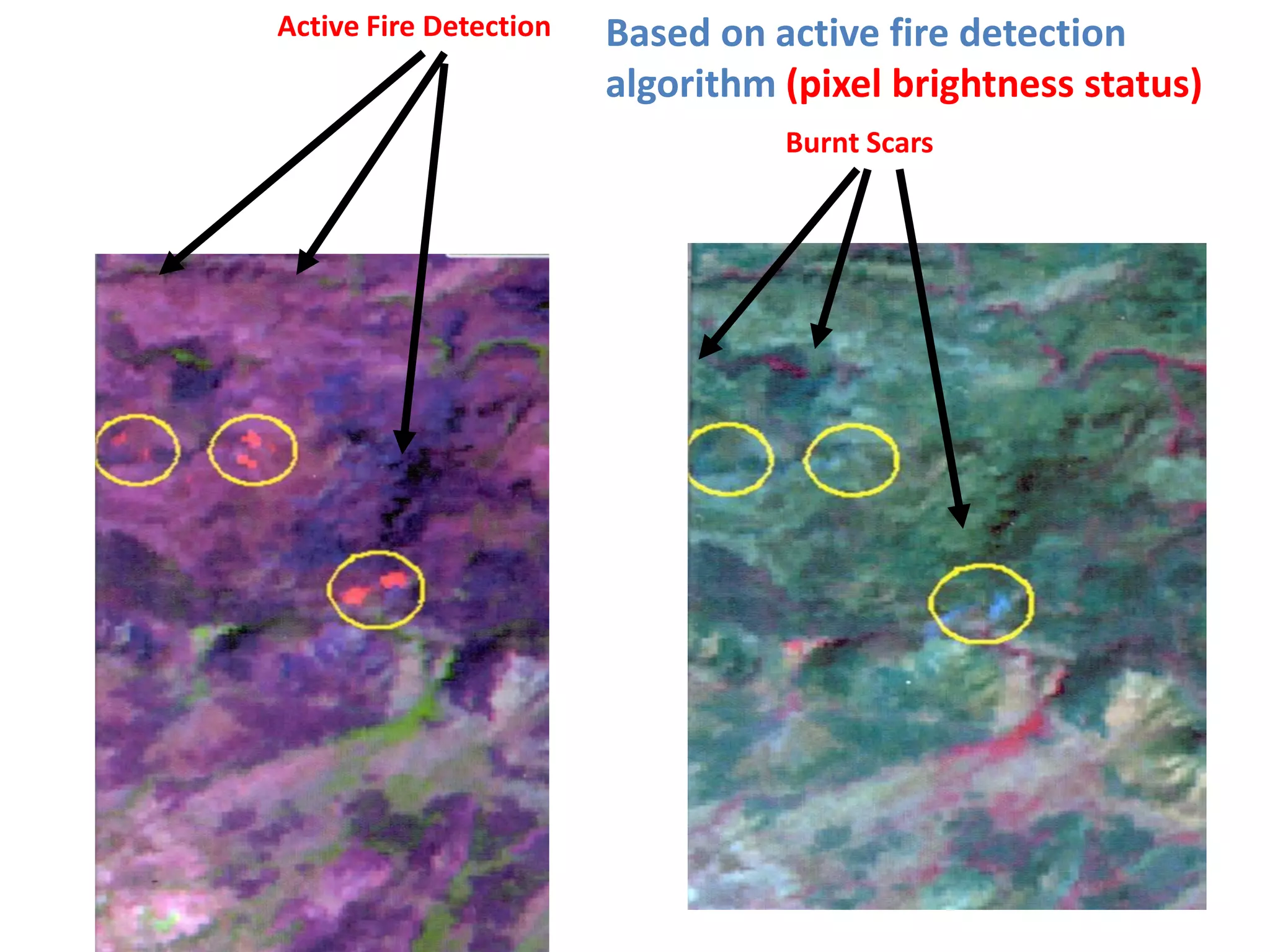 Active Fire Detection   Based on active fire detection
                        algorithm (pixel brightness status)
                                  Burnt Scars
 