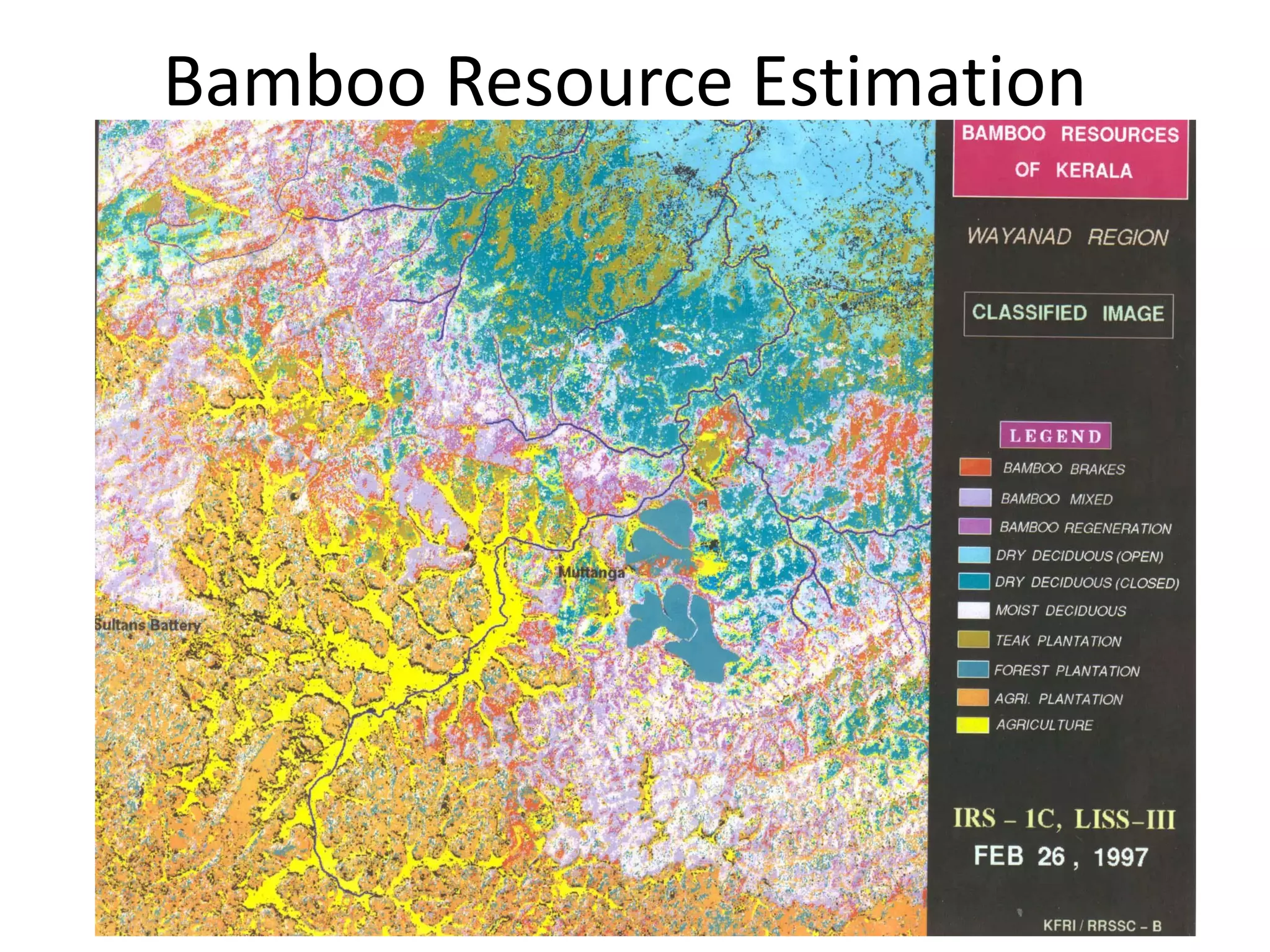 Bamboo Resource Estimation
 