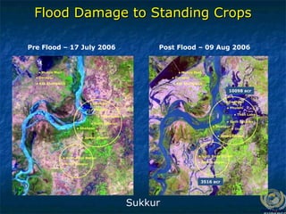 Pre Flood – 17 July 2006 Post Flood – 09 Aug 2006
10098 acr
3516 acr
● Phulani
● Goth Lataran
● Ural
● Junno Dhand
● Shahpur
● Godhpur
● Than Lake
● Goth Azizpur
● Goth Raza Mahar
● Phulani
● Goth Lataran
● Ural
● Junno Dhand
● Shahpur
● Godhpur
● Than Lake
● Goth Azizpur
● Goth Raza Mahar
● Muhro Mari
● Darapur
● Kot Shahgarch
● Muhro Mari
● Darapur
● Kot Shahgarch
Flood Damage to Standing Crops
Flood Damage to Standing Crops
Sukkur
 