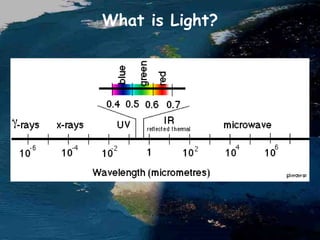 What is Light?
 