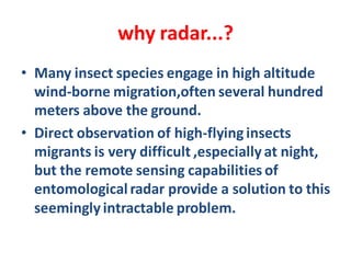 Insect Migration Raida Remote sensing in entomology | PDF