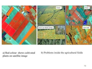 Application of Remote sensing in fruit crops | PPT