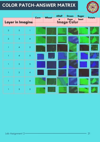 Enhancement of Multispectral Images and Vegetation Indices | PDF