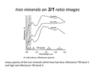 Iron minerals on 3/1 ratio images
shows spectra of the iron minerals which have low blue reflectance TM band 1
and high red reflectance TM band 3.
 