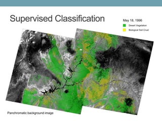 Supervised Classification
Desert Vegetation
Biological Soil Crust
Panchromatic background image
May 18, 1996
 