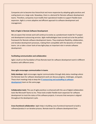 Remote Team for Software Development The Future of Agile IT Solutions.pdf