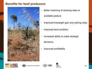34
Benefits for beef producers
• Better matching of stocking rates to
available pasture
• Improved liveweight gain and calving rates
• Improved land condition
• Increased ability to make strategic
decisions
• Improved profitability
 