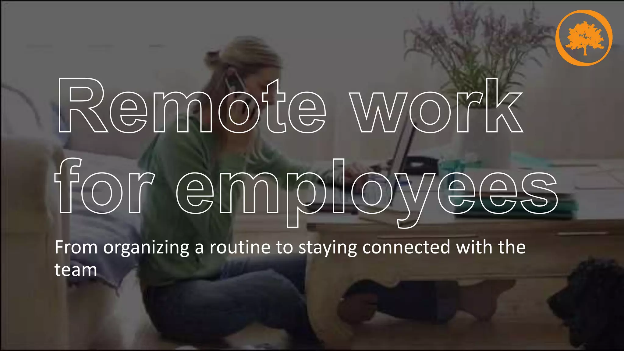 From organizing a routine to staying connected with the
team
 