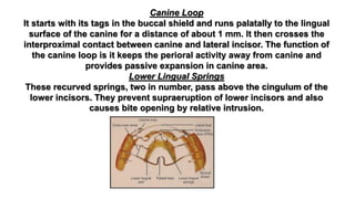 Canine Loop
It starts with its tags in the buccal shield and runs palatally to the lingual
surface of the canine for a distance of about 1 mm. It then crosses the
interproximal contact between canine and lateral incisor. The function of
the canine loop is it keeps the perioral activity away from canine and
provides passive expansion in canine area.
Lower Lingual Springs
These recurved springs, two in number, pass above the cingulum of the
lower incisors. They prevent supraeruption of lower incisors and also
causes bite opening by relative intrusion.
 