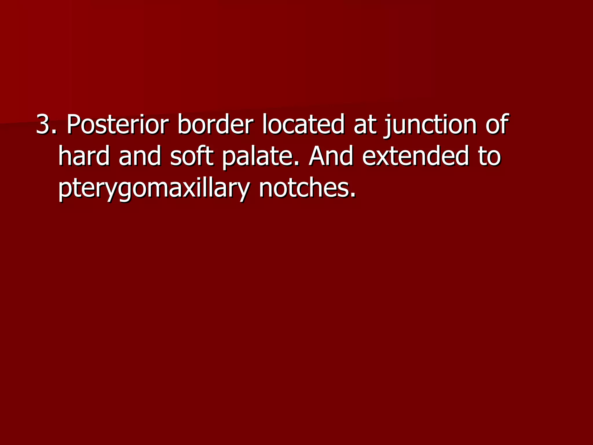 3. Posterior border located at junction of hard and soft palate. And extended to pterygomaxillary notches. 