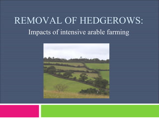 REMOVAL OF HEDGEROWS: Impacts of intensive arable farming 