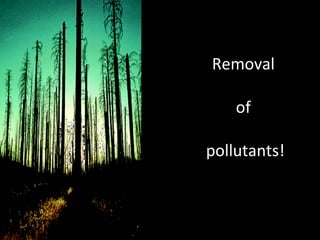 Removal  of  pollutants! 