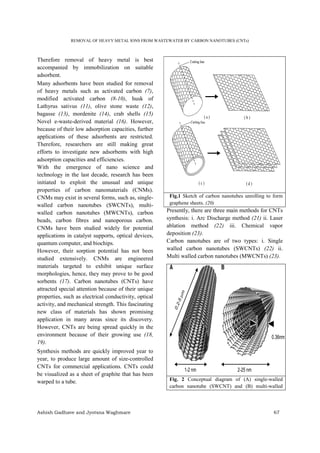 Removal of heavy metals from wastewater by carbon nanotubes | PDF